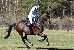 2025-luhm-3-maerz-152