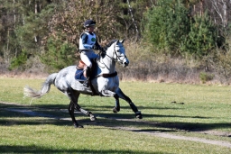 2025-luhm-3-maerz-153