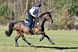 2025-luhm-3-maerz-157