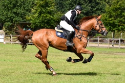 luhmuehlen-4-xc-08-2025-063