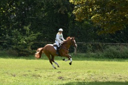 luhmuehlen-4-xc-08-2025-089