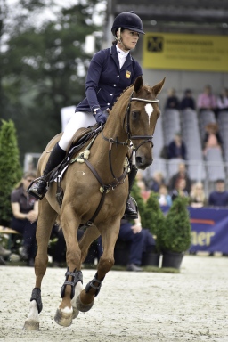 luhmuehlen-2017_springen-cic3-002-jpg