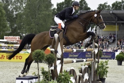 luhmuehlen-2017_springen-cic3-020-jpg