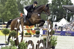luhmuehlen-2017_springen-cic3-033-jpg