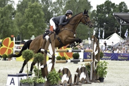 luhmuehlen-2017_springen-cic3-040-jpg