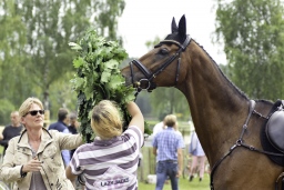 luhmuehlen-2017_springen-cic3-056-jpg