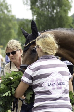 luhmuehlen-2017_springen-cic3-057-jpg