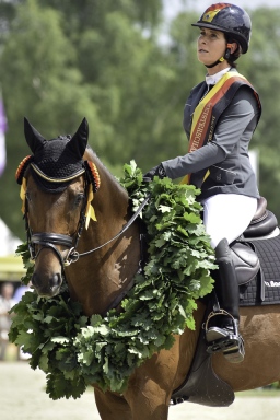 luhmuehlen-2017_springen-cic3-073-jpg