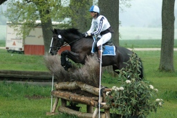 marbach-2012_cic1-009-jpg