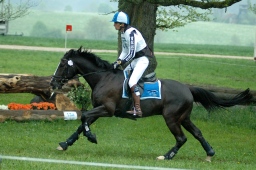 marbach-2012_cic1-010-jpg