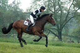 marbach-2012_cic1-035-jpg