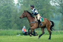 marbach-2012_cic1-047-jpg