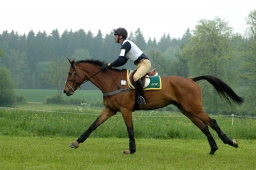 marbach-2012_cic1-048-jpg