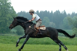 marbach-2012_cic1-054-jpg