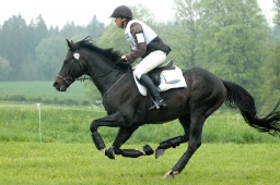 marbach-2012_cic1-057-jpg