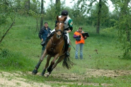 marbach-2012_cic1-060-jpg