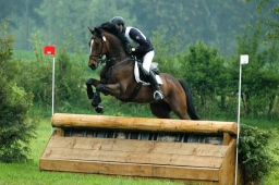marbach-2012_cic1-082-jpg