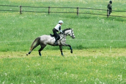 marbach-2012_cic1-093-jpg