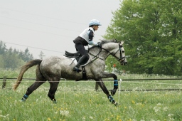 marbach-2012_cic1-095-jpg