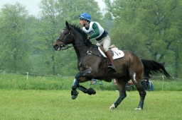marbach-2012_cic1-098-jpg