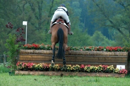 marbach-2012_cic1-101-jpg