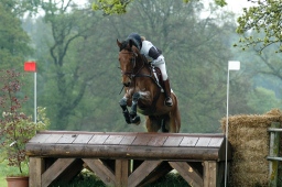 marbach-2012_cic1-103-jpg