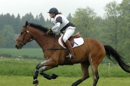 marbach-2012_cic1-104-jpg