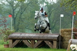 marbach-2012_cic1-106-jpg