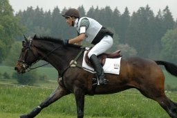 marbach-2012_cic1-116-jpg