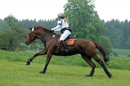 marbach-2012_cic1-118-jpg