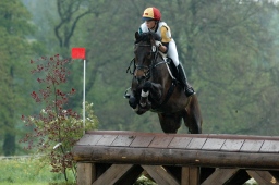 marbach-2012_cic1-120-jpg