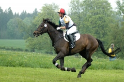 marbach-2012_cic1-121-jpg