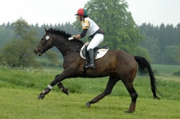 marbach-2012_cic1-122-jpg