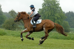 marbach-2012_cic1-126-jpg