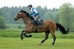 marbach-2012_cic1-132-jpg