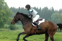 marbach-2012_cic1-144-jpg