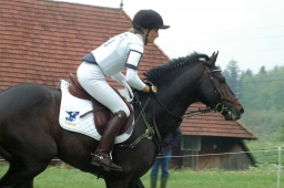 marbach-2012_cic1-153-jpg