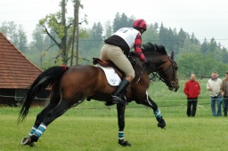 marbach-2012_cic1-154-jpg