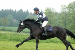 marbach-2012_cic1-162-jpg