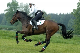 marbach-2012_cic1-168-jpg