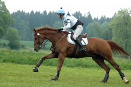 marbach-2012_cic1-170-jpg