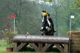 marbach-2012_cic1-179-jpg