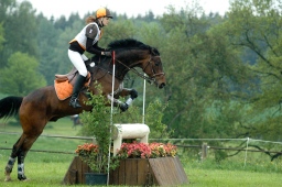 marbach-2012_cic1-183-jpg