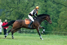 marbach-2012_cic1-184-jpg