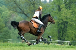 marbach-2012_cic1-185-jpg