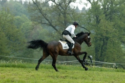 marbach-2012_cic1-198-jpg