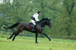 marbach-2012_cic1-209-jpg
