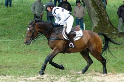 marbach-2012_cic3-013-jpg