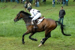 marbach-2012_cic3-014-jpg