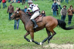marbach-2012_cic3-026-jpg